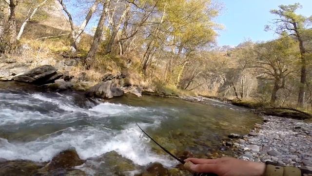 Последняя рыбалка на форель ! Завершаем сезон ! смотреть онлайн