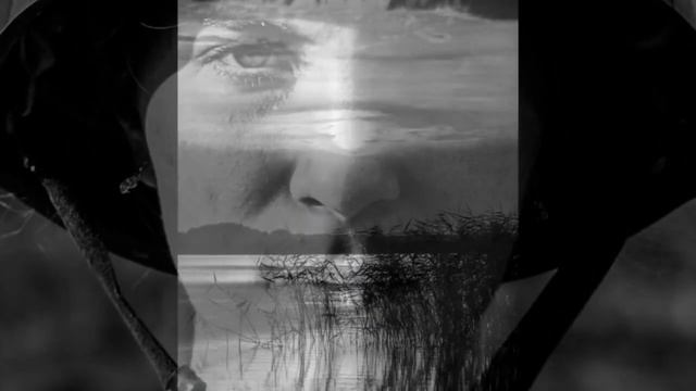 Творческая работа цикл Арт-фотографий Добровольческий контраст смотреть онлайн