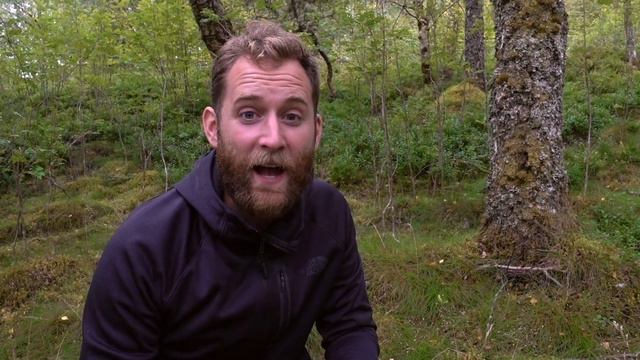 A' Rùrachd...Taigh-bìdh na tìr / Foraging...the Restaurant of the land смотреть онлайн