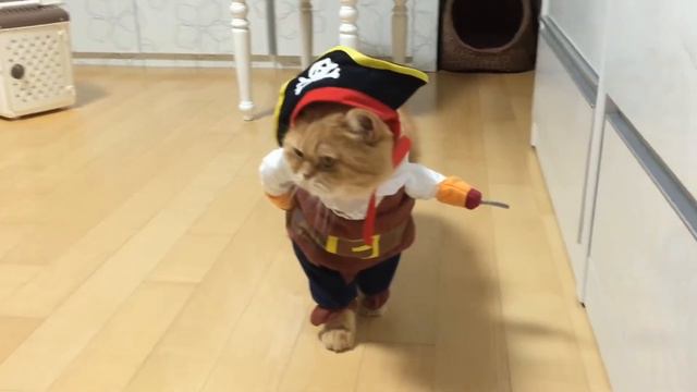 Zoobooking.com - для души))) смотреть онлайн