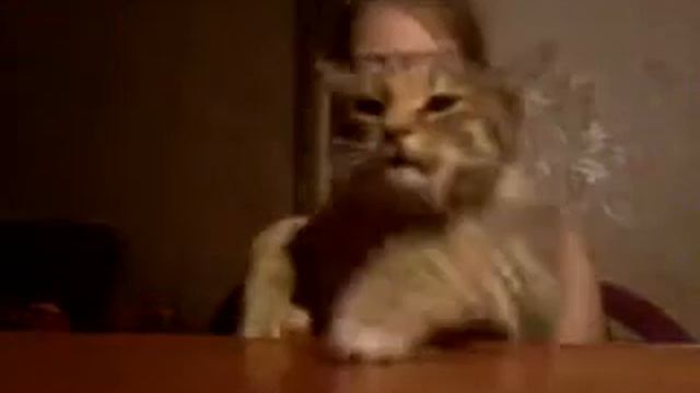 Кошка поёт рэп  а девчонка ей помогает :D