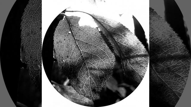 Inis смотреть онлайн