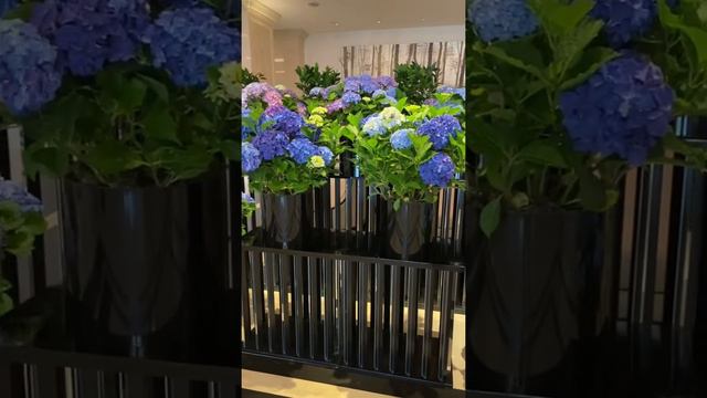 В отелях цепочки Four seasons всегда нереально красивые композиции цветов смотреть онлайн