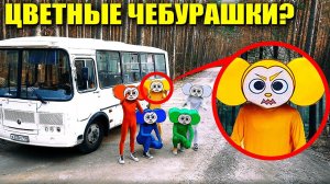 Если вы увидите этот автобус ЦВЕТНЫХ ЧЕБУРАШЕК, не проезжайте мимо него! Уезжайте БЫСТРО!