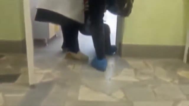 Точно суки. -"Пустите сууки" смотреть онлайн