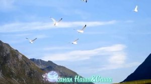 Сердце из роз