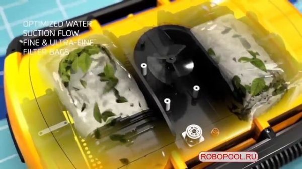 Dolphin Wave 300 XL новейшая модификация