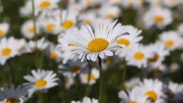 12 июля "ДЕНЬ ПЕТРА И ПАВЛА". Народные и церковные приметы, что нельзя делать в этот день смотреть онлайн