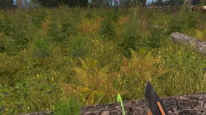 ФЕРМЕР НАШЕЛ ЛОШАДЕЙ И ОФИГЕЛ!  Farming Simulator 17