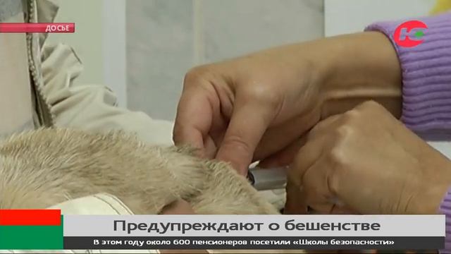 Югорчан просят без умиления относиться к диким животным смотреть онлайн