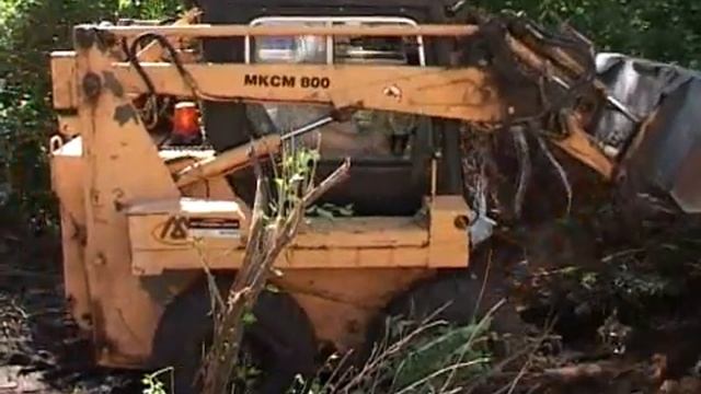 Очистим ''Городской сад'' вместе! смотреть онлайн