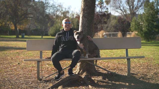 Through A Dog's Eyes: A Conversation With My Best Friend смотреть онлайн