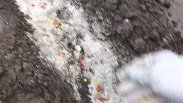 Посадка Чеснока И Лука-вырастет Крупным смотреть онлайн