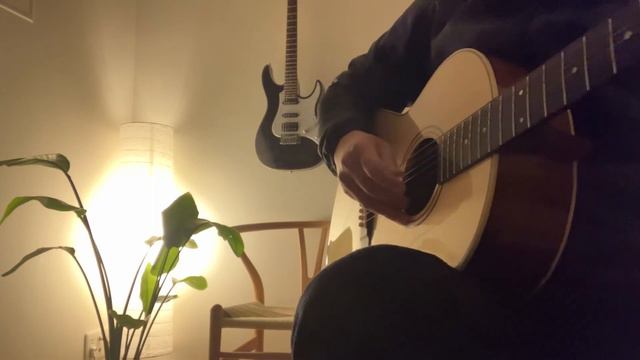 Blackbird/The Beatles/RF-65 смотреть онлайн