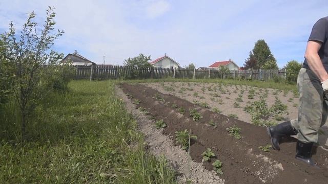 Окучиваю картошку мотоблоком. Быстро и спина не болит. смотреть онлайн