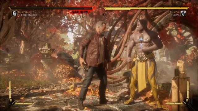 Mortal Kombat 11 - Terminator 70% and 75% Combos (Fatal Blow) смотреть онлайн