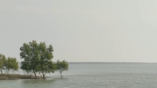 সুন্দরবনের ভয়ঙ্কর দুটি জঙ্গল যেখানে টুরিস্টদের প্রবেশ নিষিদ্ধ । Restricted areas of sundarban смотреть онлайн