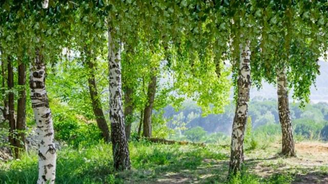 Моя Русь смотреть онлайн