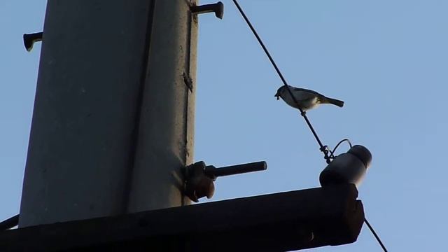 152. [УЗ] Окружение смотреть онлайн