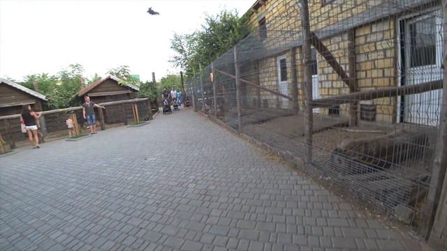 Нью Васюки смотреть онлайн