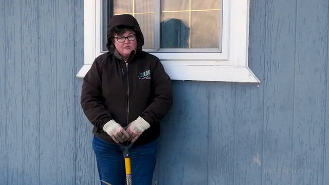 Gladiola Bulbs | From the Ground Up смотреть онлайн