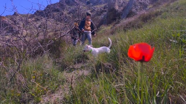 ПУТЕШЕСТВУЕМ НА ЛАНОСЕ С ДОМОМ НА КОЛЕСАХ - МЕГАНОМ смотреть онлайн