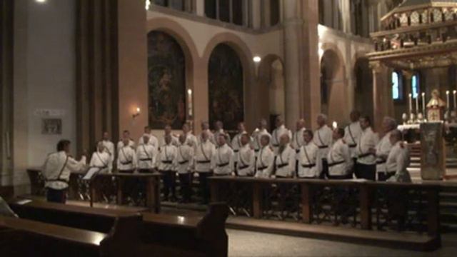 Mnogaletye - Ural Cossacks choir - Live in Vienna смотреть онлайн