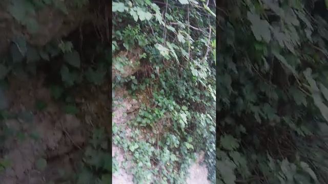 Cividale Friuli Venezia Giulia. Италия город Чиаидале смотреть онлайн