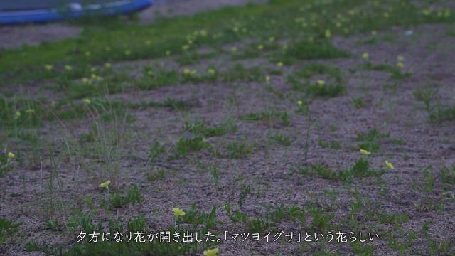 【カップルキャンプ】水着キャンプ！？愛犬を連れて湖畔でまったりSUPキャンプ！キャンプ飯は韓国料理縛りで！？ смотреть онлайн