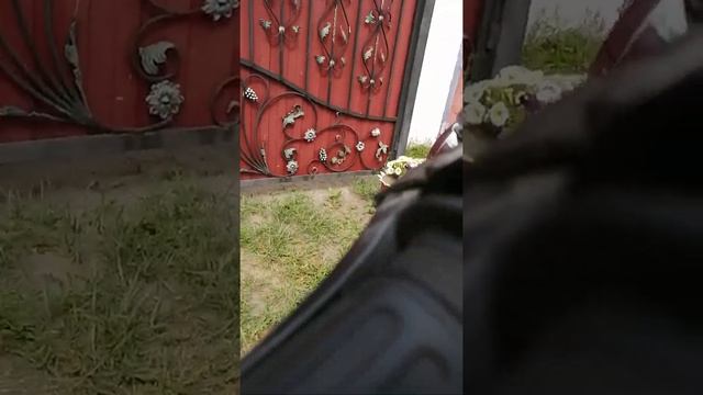 Как завести мопед без ключа смотреть онлайн