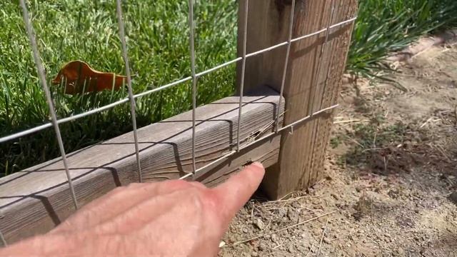 DIY HOG WIRE GARDEN FENCE // 18 Month Review with Pros & Cons смотреть онлайн