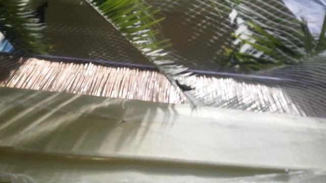 дом бабочек зоопарке ташкент смотреть онлайн