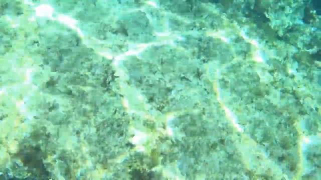 Пляж фигового дерева в Протарасе и подводный мир смотреть онлайн