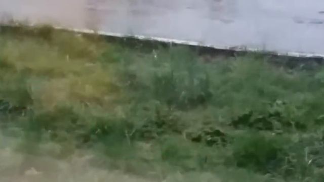 1 часть я в больнице (печалька) смотреть онлайн
