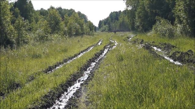 Нота отличилась ! смотреть онлайн