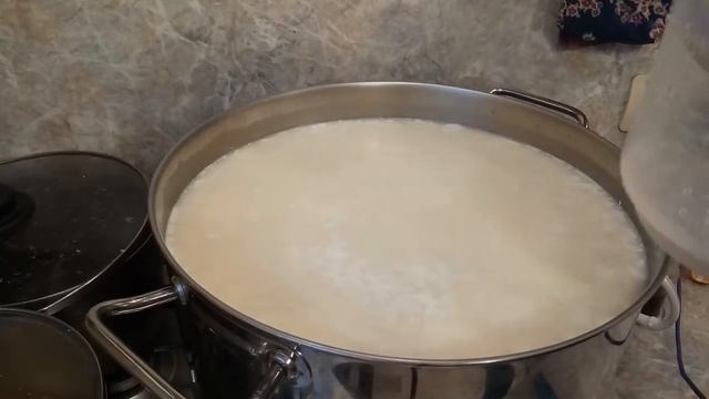 Сыр Богатырь! смотреть онлайн