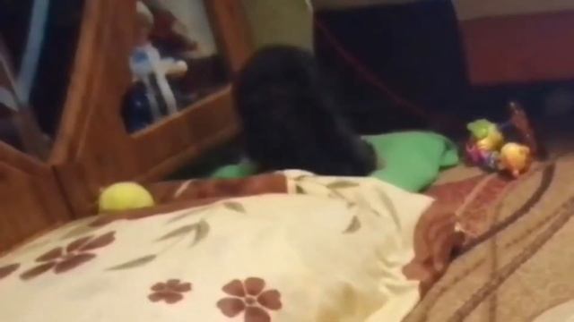 Почему собака кусается и как её от этого отучить? смотреть онлайн