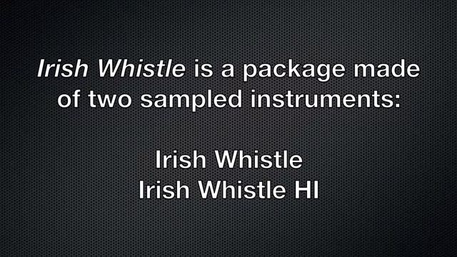Flute Samples - Irish Whistle - Korg Pa, Yamaha Genos, PSR, Tyros - Dynamix Audio смотреть онлайн
