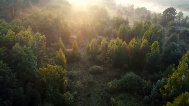 Музыка для релакса. Звуки природы и фортепиано. смотреть онлайн