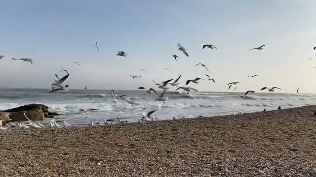 Дагестан/ Махачкала/ Каспийское море/ Прогулка у моря ? смотреть онлайн