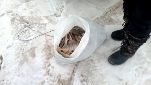 КВХ СовХакасия Зимняя рыбалка.