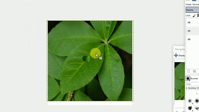 Creating a raindrop effect using gimp 2.8 смотреть онлайн