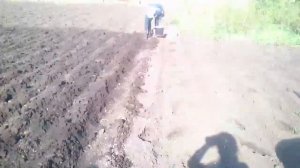 Посадка картофеля под ручной окучник.