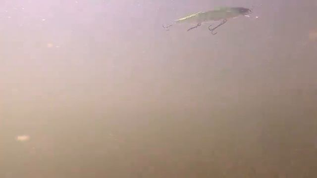 Как выбрать спиннинг ДЛЯ РАЗНЫХ ПРИМАНОК! Спиннинг ДЛЯ НАЧИНАЮЩИХ и не только. смотреть онлайн