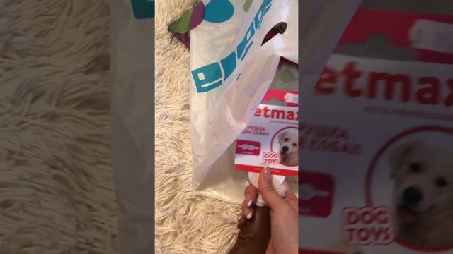 Зоопокупки для йорка смотреть онлайн