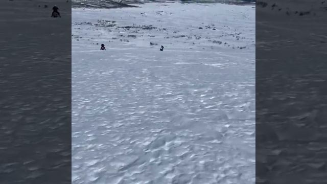 Yamaha sidewinder turbo 153 wheelies смотреть онлайн