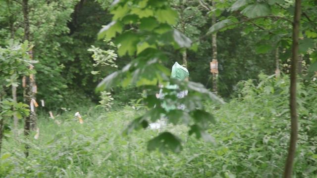 Я СОРТИРУЮ МУСОР И ЭТО ОЧЕНЬ ПРОСТО! Как, зачем и куда я сдаю мусор и почему лучше это делать всем смотреть онлайн