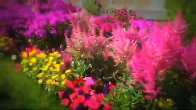 № 22. Музей-заповедник "Ораниенбаум" Часть 2 смотреть онлайн