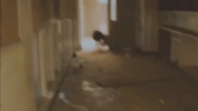 Реально ли попасть в Закулисье? Как попасть в закулисье? (The Backrooms) смотреть онлайн