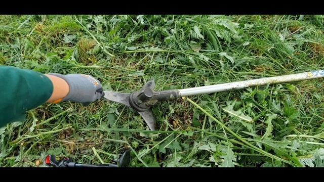 Kosa stihl fs 491 c / koszenie ogromnej trawy!! смотреть онлайн